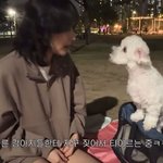 <b>서열</b> 정리 실패한 슬기가 웃기고 귀여워