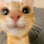 [드루와] 당근 진짜 <b>진상</b>들만 있는듯 ㅋㅋㅋㅋ