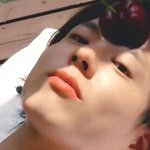 매년 레전드인 박보검 시그, 당신의 취향은?