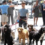 나 강아지 <b>산책</b> 알바로 달에 200벎