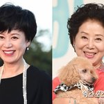 건강 이상' 박미선, 방송 중단하고 뭐하나 봤더니…선우용여가 전한...