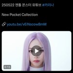 카리나 젠틀몬스터 뭐야