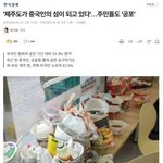 중국섬 되어버린 제주도 근황.