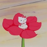 아니 와코 영상<b>중애</b>