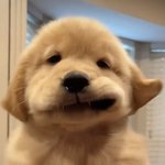 <b>mbti</b>를모르겟음