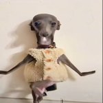 [댓글부탁해] 수학 낮2 목표면