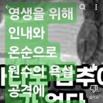 위해 인내와 <b>온순</b>으로 원수의 욕설 공격에 보복하지말라 하나님께서...