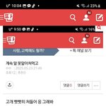 쯧