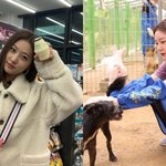 김새론 생전 채무가 12억이라함 아이돌래퍼랑 가수들에 1억씩 다른가수...