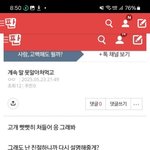 [누가] 진주출신 경찰<b>fbi</b>라고 사람묻으래요