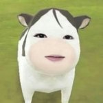 아니 트위터 그래도 좀 이상한데?