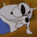[하고싶은말] 잘<b>자요</b>