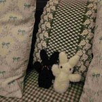 [혼자하는말] 사랑이 시간과 공간을 초월하는 이유는