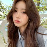 다이어트 예찬→“좌파 없는 나라에서 살고 싶다” 갑론을박[<b>MD</b>이슈]