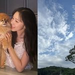 여성암 투병 이솔이, 박성광과 데이트 중 눈물 “일상 소중하고 감사해”