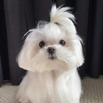 [혼자하는말] <b>첫눈</b>에 반했다