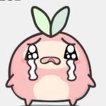 얘들아 나 <b>부끄러움</b>이 너무 많은데 어떡해