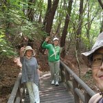  ‘남편 사기 의혹’ 임성언에 의미심장 <b>SNS</b> “신혼인데 왔네”