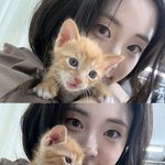 신시아, <b>인간</b> 고양이였네…고양이 티셔츠까지 입고 '방긋'
