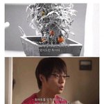 매우 흔하지만 의외로 맹독성인 <b>식물</b>