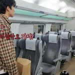 진짜 'P'들의 여행은 이런 건가요?