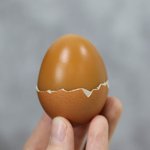[하고싶은말] 그녀