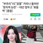 정치<b>충들</b> 카리나 공격하는거 미쳤네