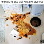 [웃픽] <b>짬뽕</b> 먹다 애국심이 차올랐다