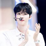 항공사 승무원 같다고 팬들 반응 좋은 남돌