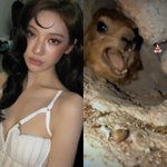 닝닝, 카리나 향한 잡음 저격했나…소란 속 '<b>명상</b>' 이모티콘