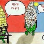 [19] 짝녀 인스타 남자 연예인 팔로잉 목록인데 얼빠인편임?