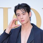 [단독] ‘얼굴 천재’ 차은우, 군악대 최종 합격..“7월 28일...