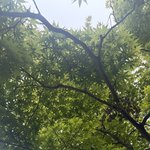 [댓글좀제발] 전남친 심리 <b>분석</b> 부탁이요