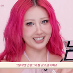 [화장품] 이사배 블러셔 <b>올영</b> 1위네