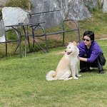 김고은, 숏컷+선글라스로 연예인 포스..반려견 쓰다듬기만 해도 화보