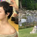 '파격 <b>숏컷</b>' 김고은, 선글라스 써도 '연예인 아우라' 폴폴…"내...