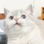 열심히 일하고 있을때