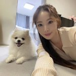 신수지, 막둥이 떠나 보냈다 '슬픔 가득'..."새벽 무지개 다리...