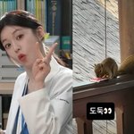 뒤늦은 '언슬전' 휴가서 "도둑" 포착…<b>불청객</b> 어쩌나 [해시태그]