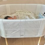 '아들맘' 나혜미, 둘째子 공개..<b>에릭</b> "내 강아지들 심쿵"