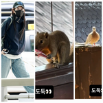 고윤정, 발리서 만난 ‘도둑’ 정체…휴가 중 뜻밖의 목격담