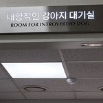 [웃픽] <b>내향</b>적인 강아지 대기실