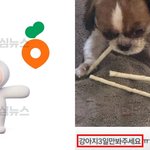 당근에서 강아지 맡기고 잠수탄 견주;; <b>특단</b> 조치 나선듯