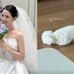 [어케생각해] 남보라, 결혼 <b>한달차</b> 새신부인데 “밥 안 먹겠다 시위...