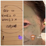 바른 채 브이로그 <b>독려</b>…고현정, 투표날 ‘비이로그’ 해프닝 입력2025...