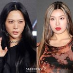 '오열' 허니제이, '스우파' <b>PTSD</b> 고백 "미션 사운드만 들어도...