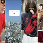 못" 홍진경→카리나x박성광까지..정치색 해명 '<b>SNS</b> 주의보'