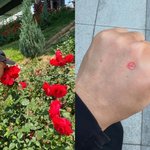 [모두드루와] <b>하림</b>, '빨간 꽃' 투표 근황도 당당하게… "정치적...