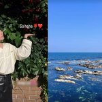 안소희, ‘빨간 <b>장미</b>·하트’ 하나로 정치색 의혹? 사진 삭제→푸른...