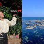 안소희, '빨간 <b>장미</b>' 논란에 '푸른 바다' 응수..정치색 의혹...